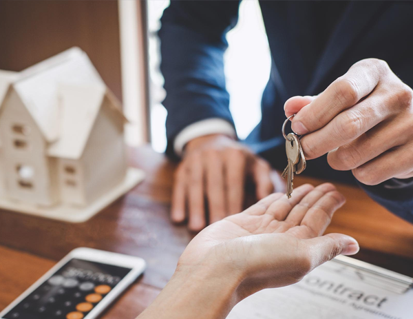 Services professionnel immobilier